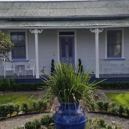 Lavender Cottage Greytown Exterior foto