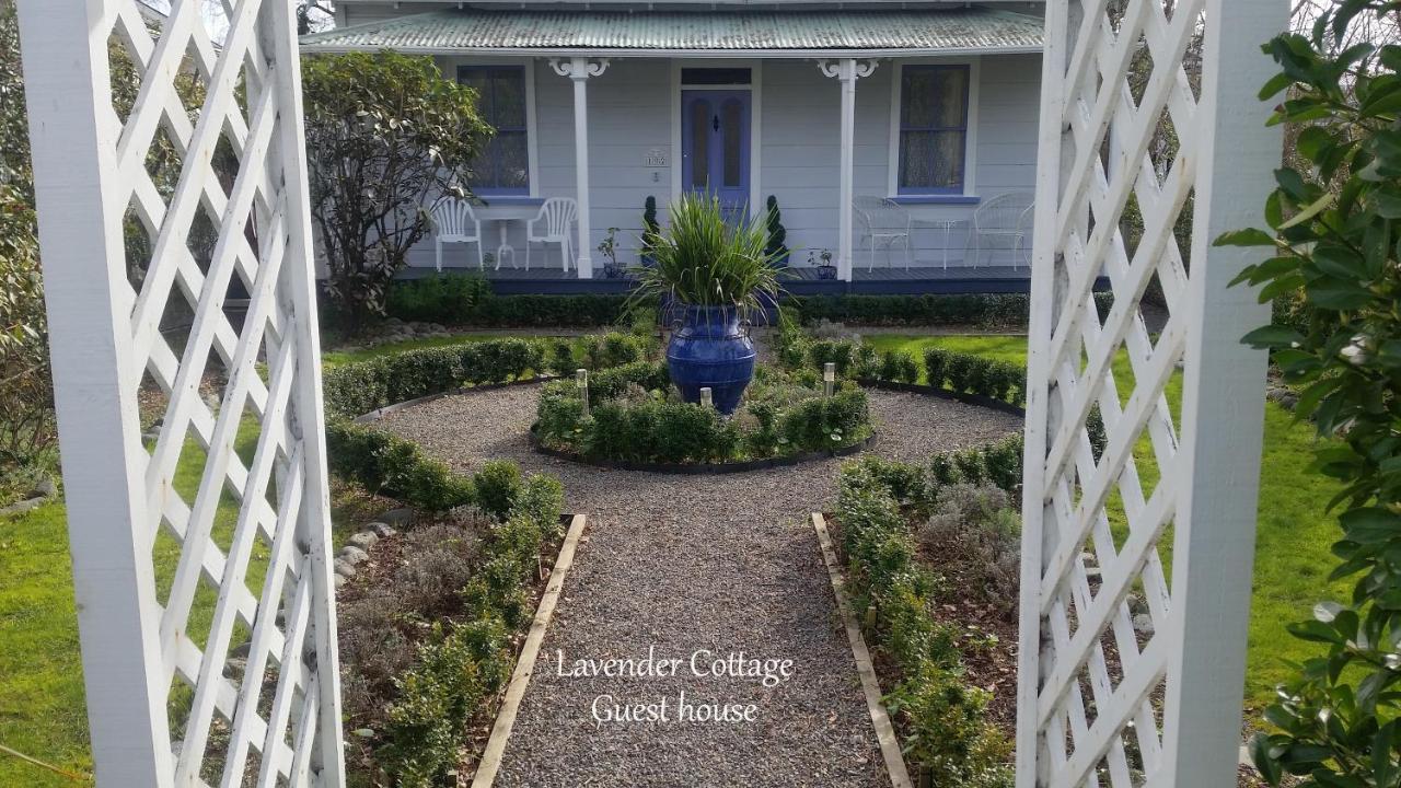 Lavender Cottage Greytown Exterior foto