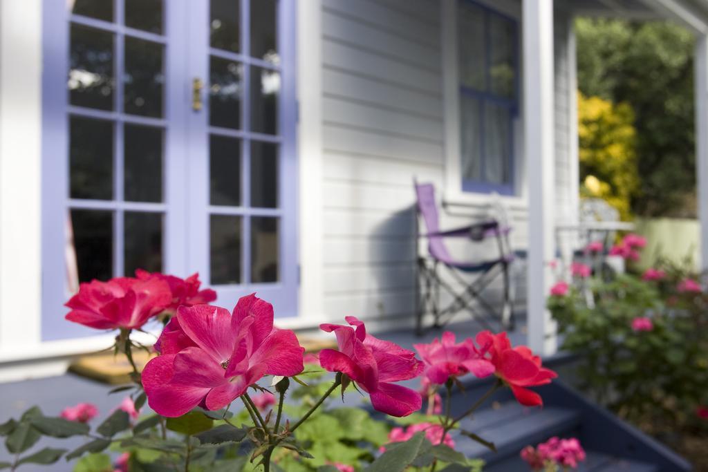 Lavender Cottage Greytown Exterior foto